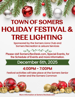 Holiday Festival 2025